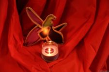 Французская организация вместе с детьми шехидов и гази Карабахской войны реализуют проект для мировой общественности (ФОТО)