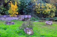 Золотая осень в Шахбулаге! Красота хрустального родника и кристального воздуха (ВИДЕО, ФОТО)