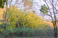 Золотая осень в Шахбулаге! Красота хрустального родника и кристального воздуха (ВИДЕО, ФОТО)