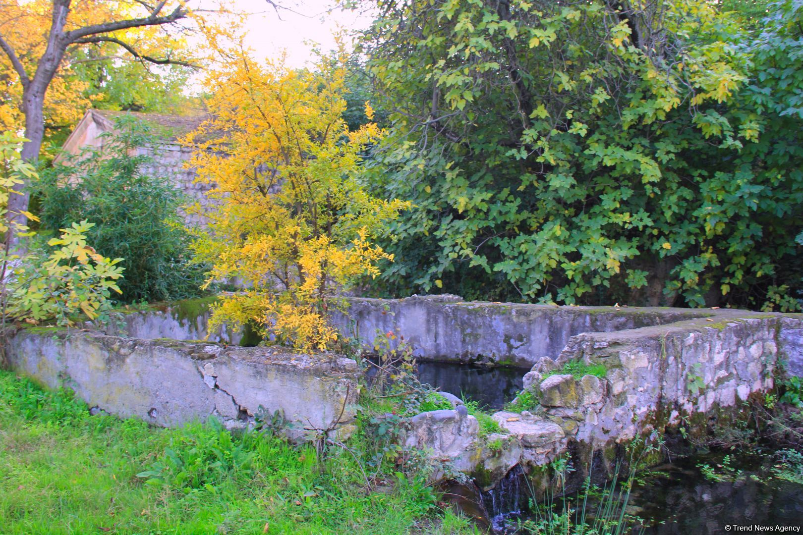 Золотая осень в Шахбулаге! Красота хрустального родника и кристального воздуха (ВИДЕО, ФОТО)