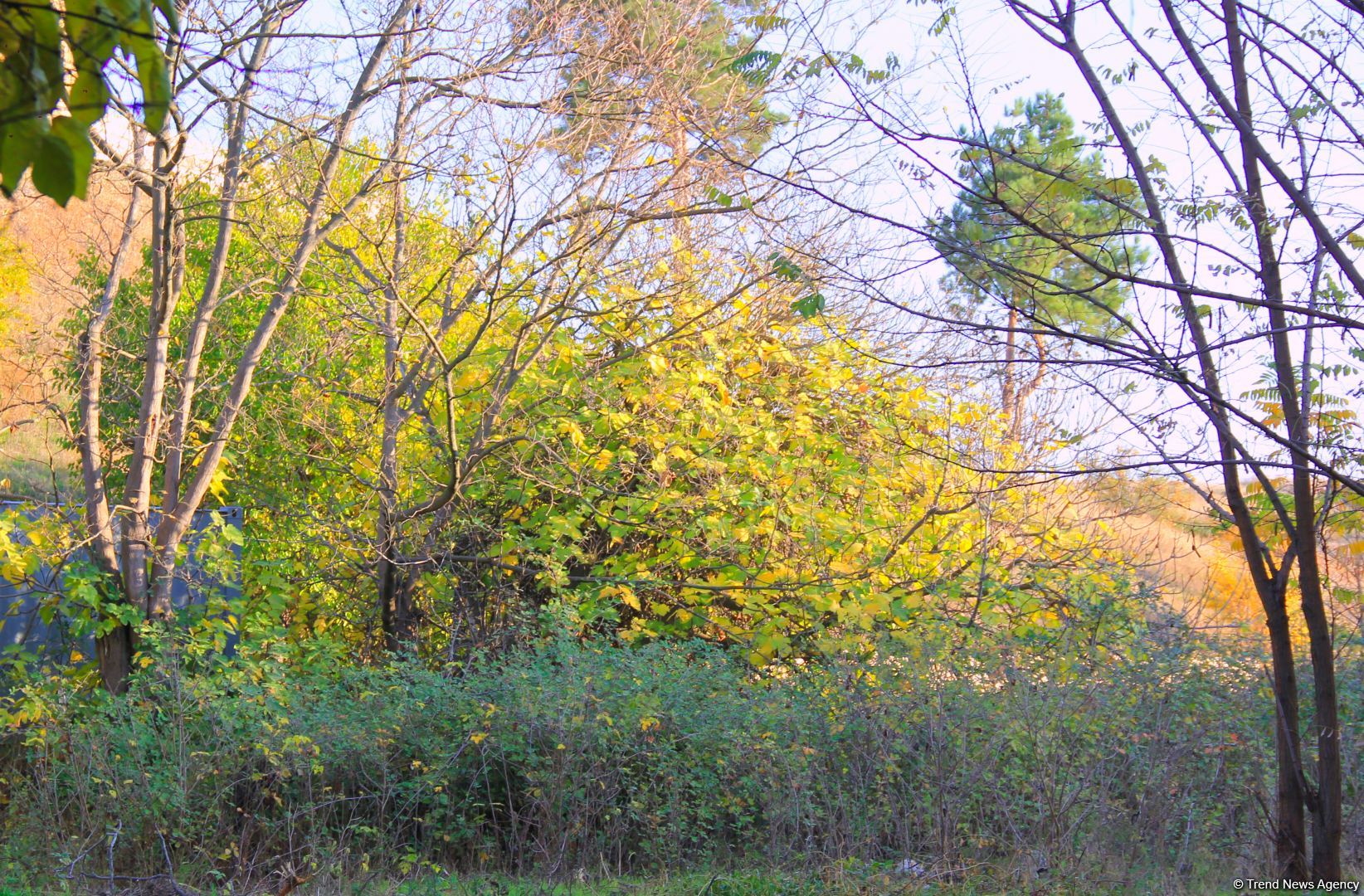 Золотая осень в Шахбулаге! Красота хрустального родника и кристального воздуха (ВИДЕО, ФОТО)