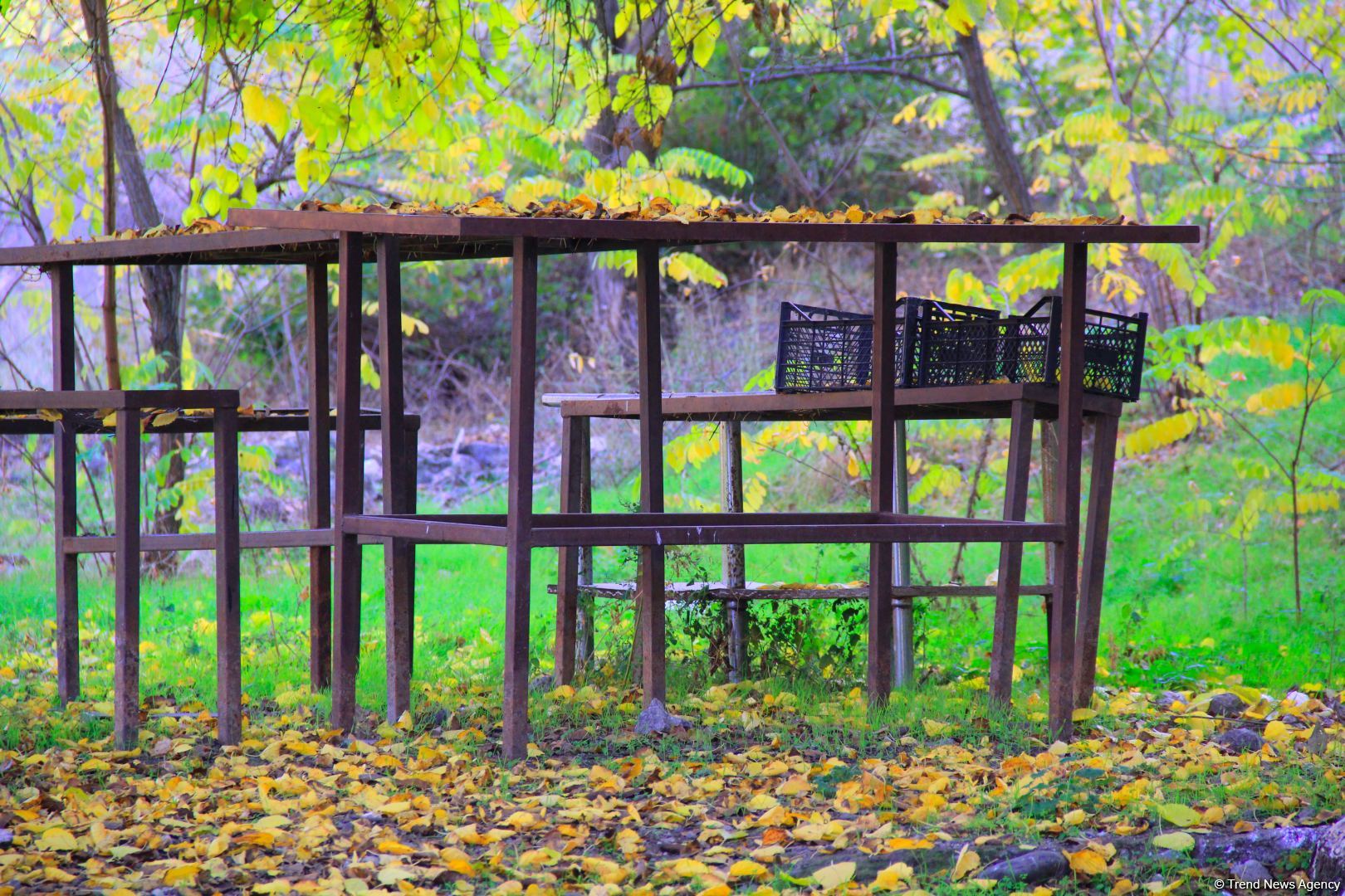 Золотая осень в Шахбулаге! Красота хрустального родника и кристального воздуха (ВИДЕО, ФОТО)