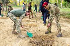 Общество охраны природы, члены семей шехидов и гази Отечественной войны провели акцию в честь Дня Победы (ФОТО)