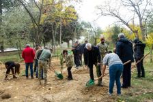 Общество охраны природы, члены семей шехидов и гази Отечественной войны провели акцию в честь Дня Победы (ФОТО)