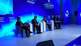 В рамках VIII Глобального Бакинского форума проводятся очередные панельные дискуссии (ФОТО)