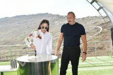 Президент Ильхам Алиев и Первая леди Мехрибан Алиева заложили фундамент Шушинской телерадиовещательной станции (ФОТО/ВИДЕО)