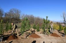 Президент Ильхам Алиев и Первая леди Мехрибан Алиева посадили деревья на Джыдыр дюзю, дан старт восстановлению леса Топхана в Шуше (ФОТО/ВИДЕО)