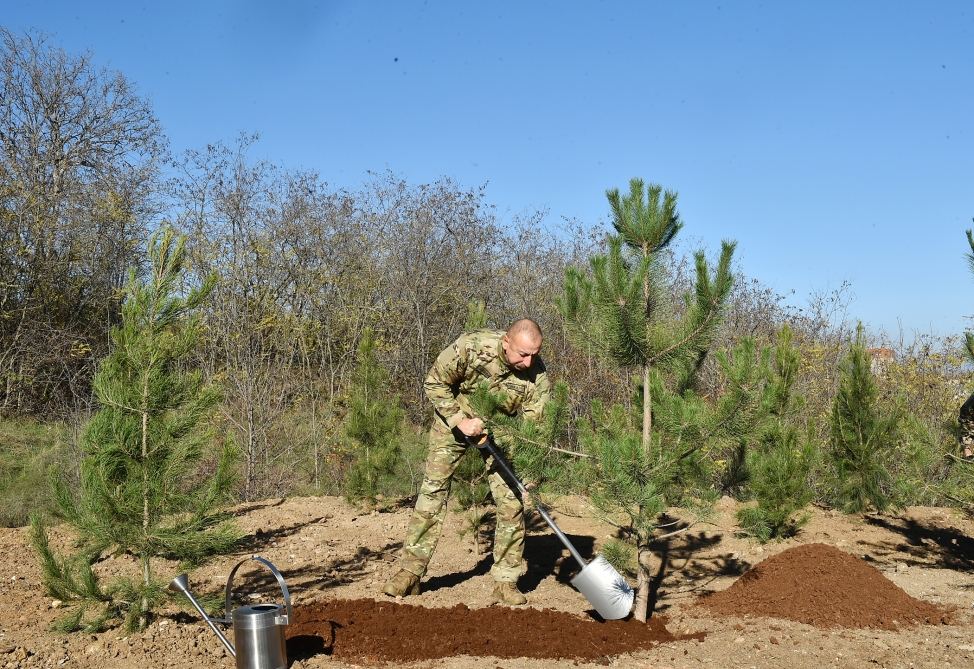 Президент Ильхам Алиев и Первая леди Мехрибан Алиева посадили деревья на Джыдыр дюзю, дан старт восстановлению леса Топхана в Шуше (ФОТО/ВИДЕО)