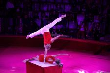 Как азербайджанец привез из России в Баку "Арену смелости" - ИНТЕРВЬЮ (ФОТО)