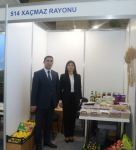 В Баку начал работу 25-й Международный бизнес-форум - IBF (ФОТО)