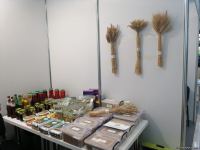 Продукция Хачмаза представлена на Международном бизнес-форуме (ФОТО)