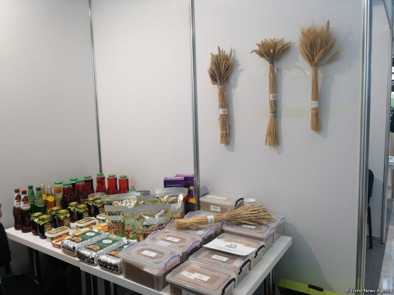 Продукция Хачмаза представлена на Международном бизнес-форуме (ФОТО)