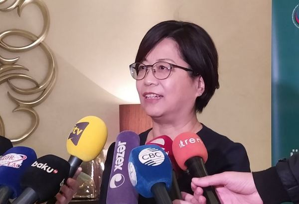 В Азербайджане в последние годы проделана большая работа в сфере защиты прав детей - ЮНИСЕФ