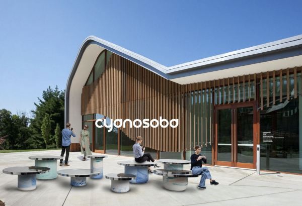 Азербайджан впервые представлен на Дубайской неделе дизайна (ФОТО)