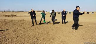 В Агдаме высажен лесной массив (ФОТО)