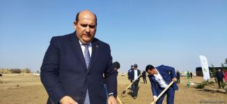 В Агдаме высажен лесной массив (ФОТО)