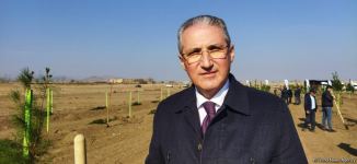 В Агдаме высажен лесной массив (ФОТО)