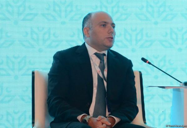 Творчество Низами Гянджеви объединяет и сближает народы - Анар Керимов