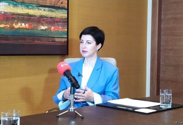 Visa открыта к сотрудничеству с Азербайджаном в области цифровых банков - региональный менеджер (Интервью) (ВИДЕО)