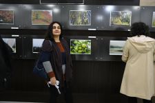В Баку открылась фотовыставка и прошла церемония награждения конкурса "Золотая осень" (ФОТО)