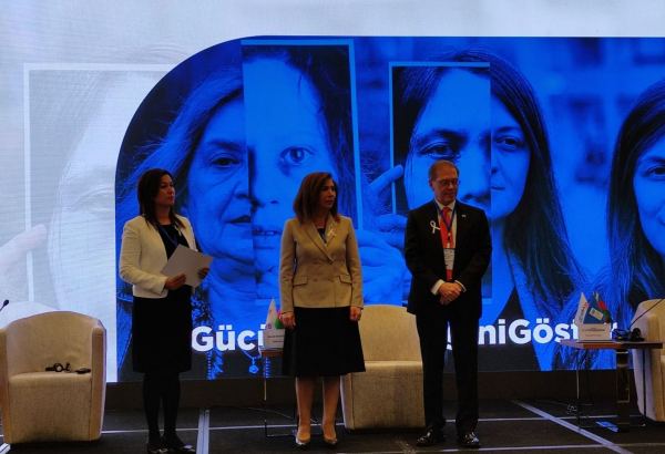 США высоко оценивают работу Азербайджана в сфере борьбы с насилием против женщин – посол (ФОТО)