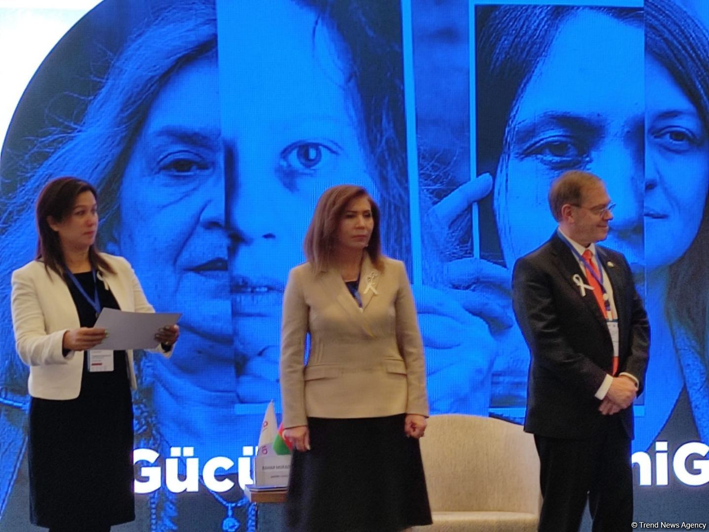 США высоко оценивают работу Азербайджана в сфере борьбы с насилием против женщин – посол (ФОТО)