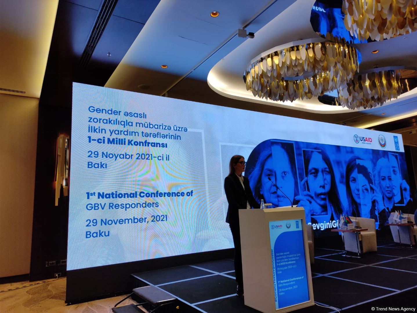 США высоко оценивают работу Азербайджана в сфере борьбы с насилием против женщин – посол (ФОТО)