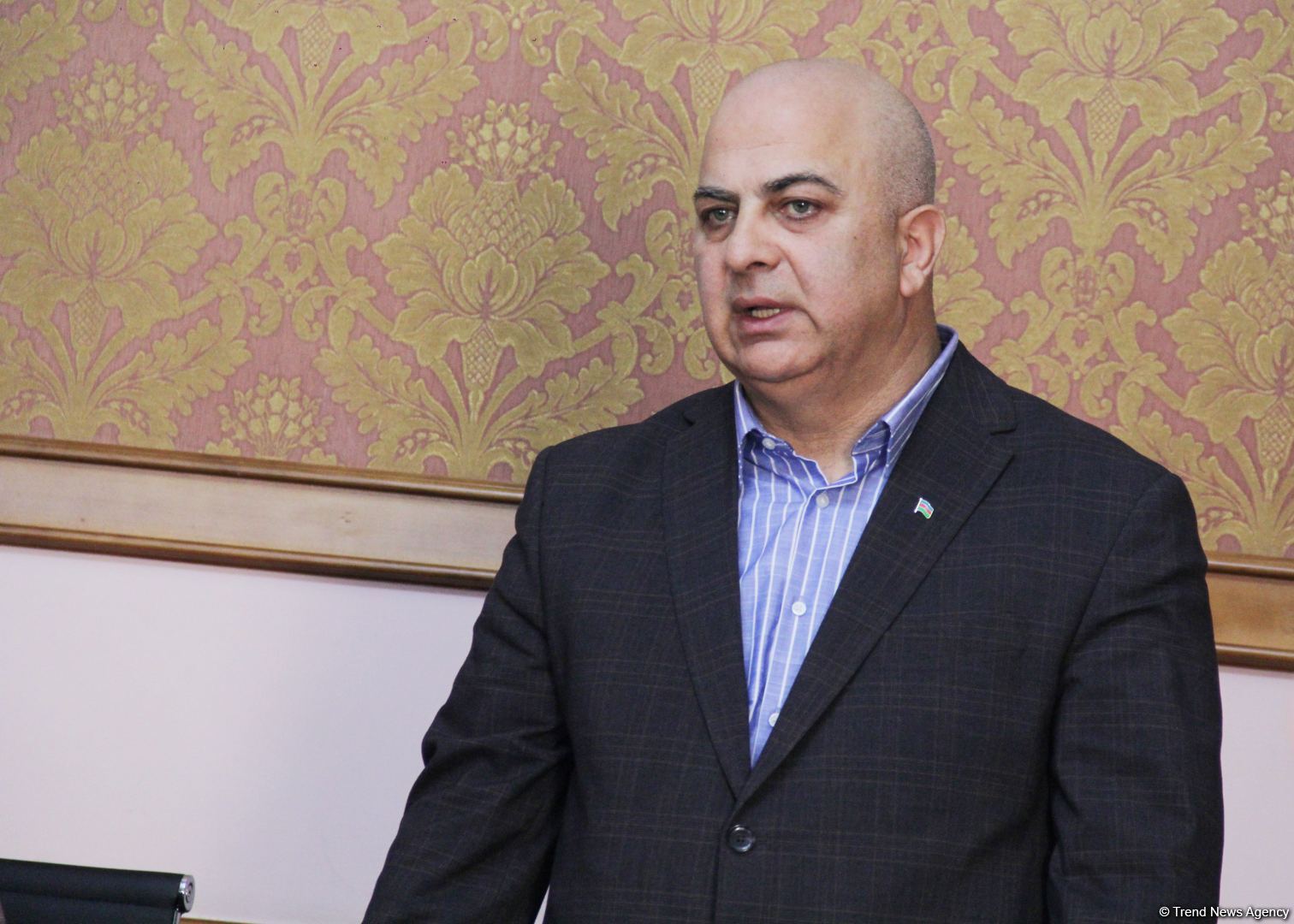 Организация из Нидерландов отметила деятелей культуры Азербайджана за вклад в поддержку диаспорской  деятельности (ФОТО)