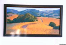 Репортаж из резиденции посла США в Азербайджане – путешествие в мир искусства (Эксклюзив) (ФОТО)