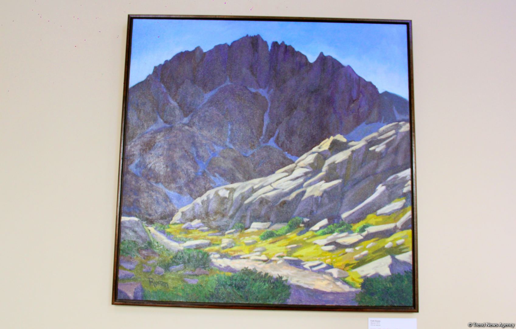 Репортаж из резиденции посла США в Азербайджане – путешествие в мир искусства (Эксклюзив) (ФОТО)