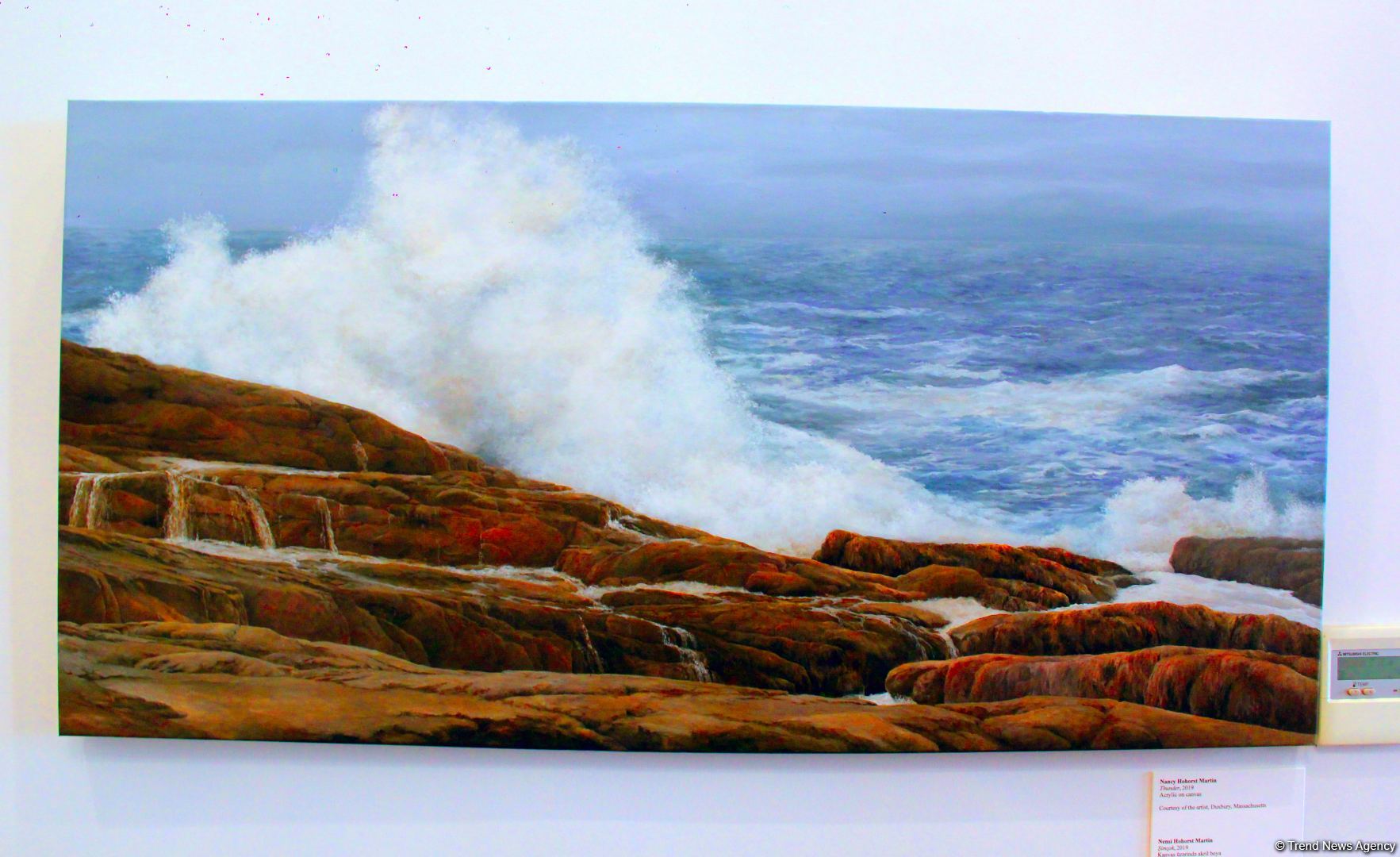 Репортаж из резиденции посла США в Азербайджане – путешествие в мир искусства (Эксклюзив) (ФОТО)