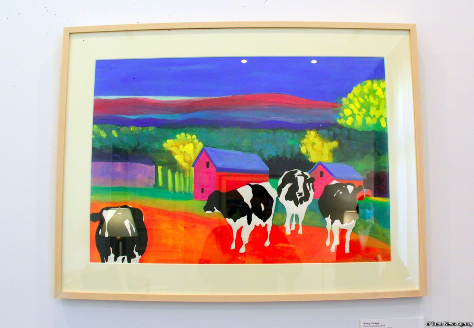 Репортаж из резиденции посла США в Азербайджане – путешествие в мир искусства (Эксклюзив) (ФОТО)