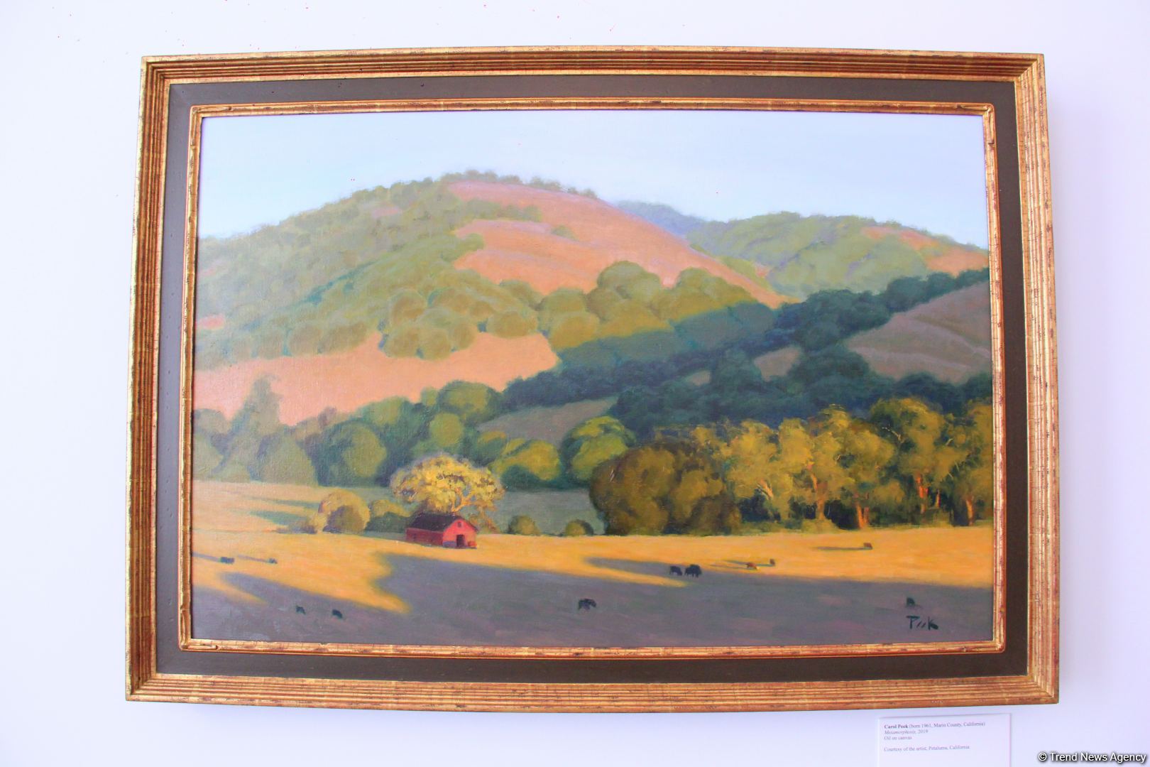 Репортаж из резиденции посла США в Азербайджане – путешествие в мир искусства (Эксклюзив) (ФОТО)