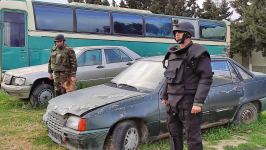 К разминированию освобожденных территорий Азербайджана привлечены специально обученные собаки (ФОТО/ВИДЕО)