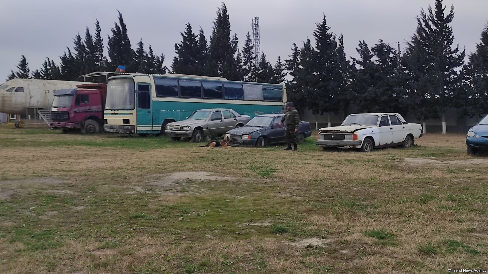 К разминированию освобожденных территорий Азербайджана привлечены специально обученные собаки (ФОТО/ВИДЕО)