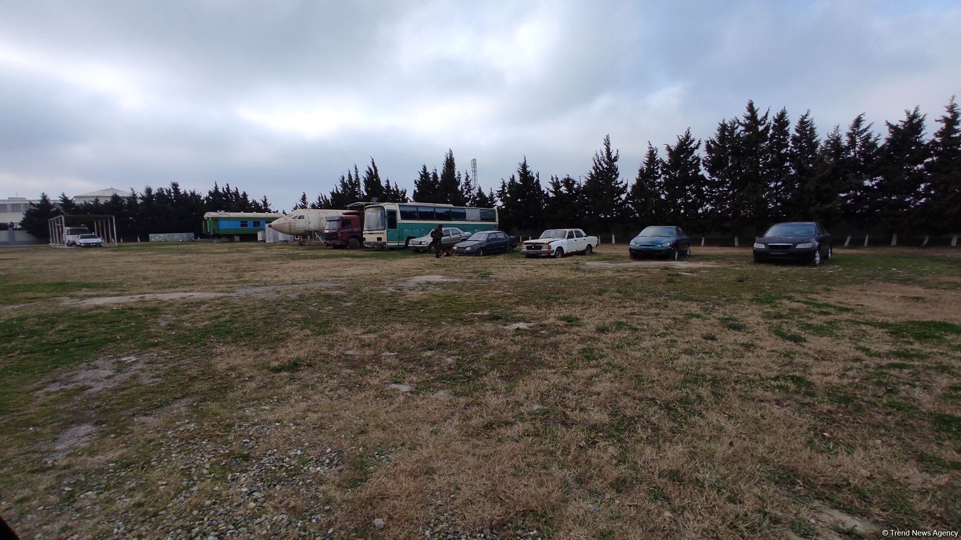 К разминированию освобожденных территорий Азербайджана привлечены специально обученные собаки (ФОТО/ВИДЕО)