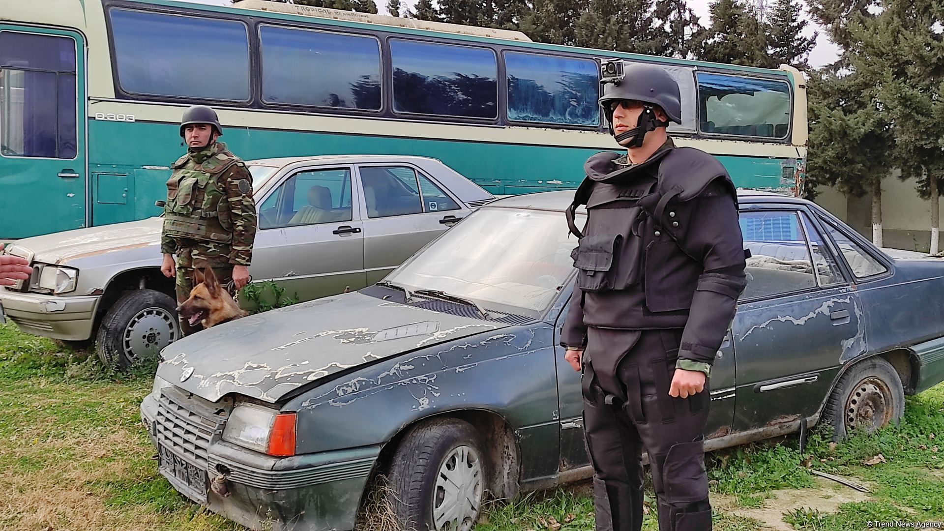 К разминированию освобожденных территорий Азербайджана привлечены специально обученные собаки (ФОТО/ВИДЕО)