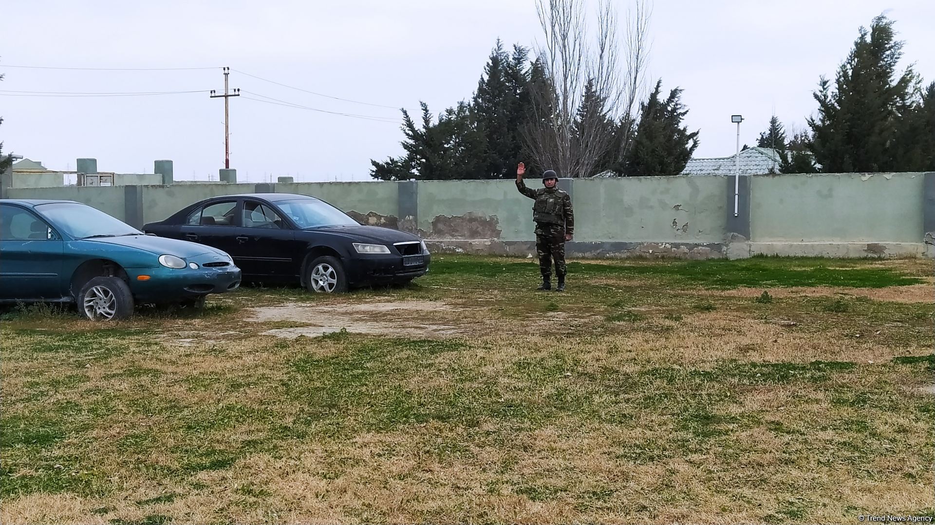 К разминированию освобожденных территорий Азербайджана привлечены специально обученные собаки (ФОТО/ВИДЕО)