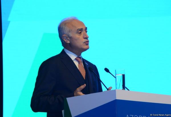 Зангезурский коридор откроет новые альтернативы в логистике и торговле - Организация по внешнеэкономическим связям Турции