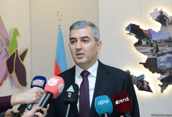 В Азербайджане на сегодня проживают 132 тыс. иностранцев – Госмиграционная служба