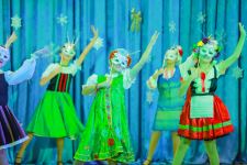 Новогодний праздник в Баку с песнями и танцами, сказочными персонажами (ВИДЕО, ФОТО)