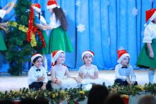 Новогодний праздник в Баку с песнями и танцами, сказочными персонажами (ВИДЕО, ФОТО)