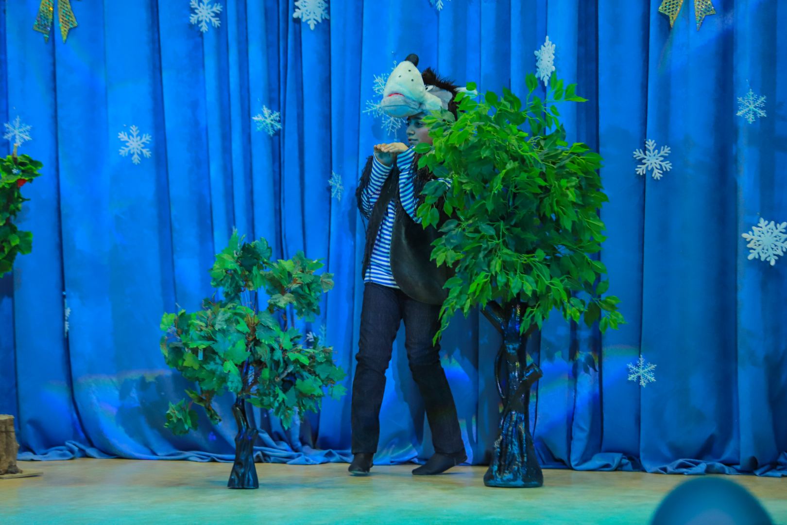 Новогодний праздник в Баку с песнями и танцами, сказочными персонажами (ВИДЕО, ФОТО)