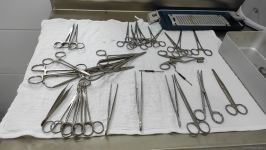 В первую самую крупную и современную на Южном Кавказе ветеринарную клинику в Баку уже поступают обращения - Trend TV (ФОТО/ВИДЕО)