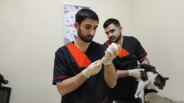 В первую самую крупную и современную на Южном Кавказе ветеринарную клинику в Баку уже поступают обращения - Trend TV (ФОТО/ВИДЕО)