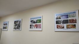 В первую самую крупную и современную на Южном Кавказе ветеринарную клинику в Баку уже поступают обращения - Trend TV (ФОТО/ВИДЕО)