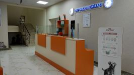 В первую самую крупную и современную на Южном Кавказе ветеринарную клинику в Баку уже поступают обращения - Trend TV (ФОТО/ВИДЕО)
