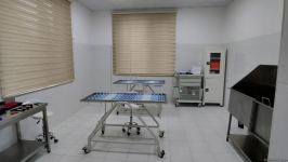 В первую самую крупную и современную на Южном Кавказе ветеринарную клинику в Баку уже поступают обращения - Trend TV (ФОТО/ВИДЕО)