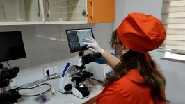 В первую самую крупную и современную на Южном Кавказе ветеринарную клинику в Баку уже поступают обращения - Trend TV (ФОТО/ВИДЕО)