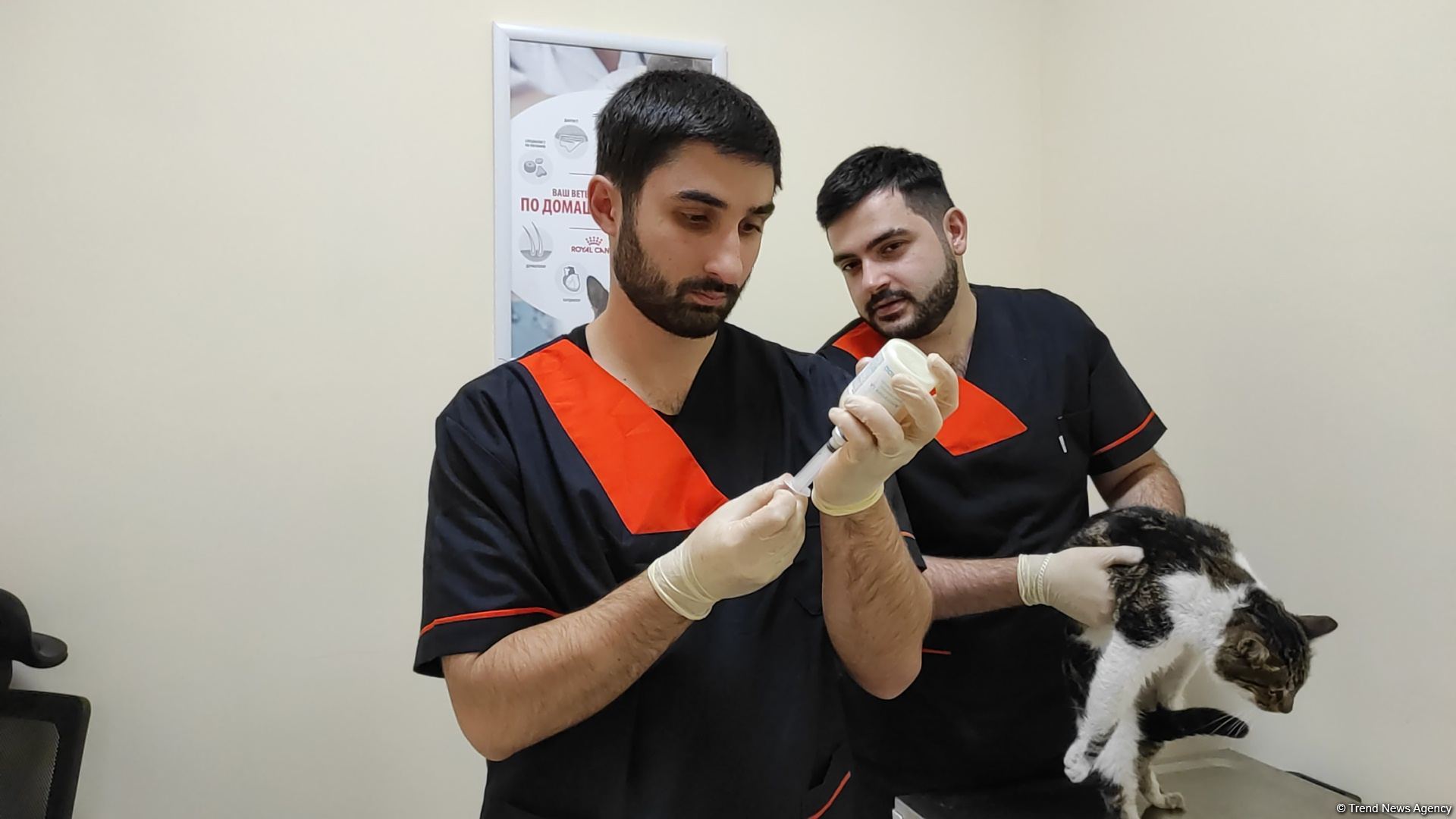 В первую самую крупную и современную на Южном Кавказе ветеринарную клинику в Баку уже поступают обращения - Trend TV (ФОТО/ВИДЕО)